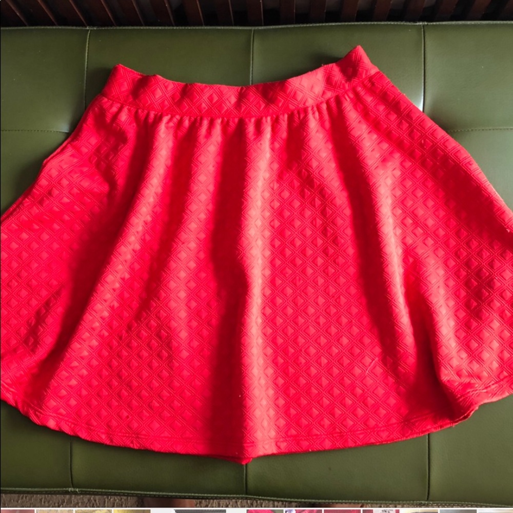 Francesca’s circle skirt